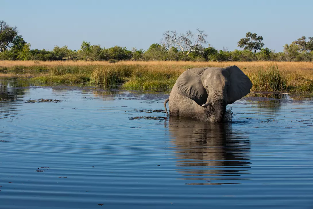 Selinda Reserve